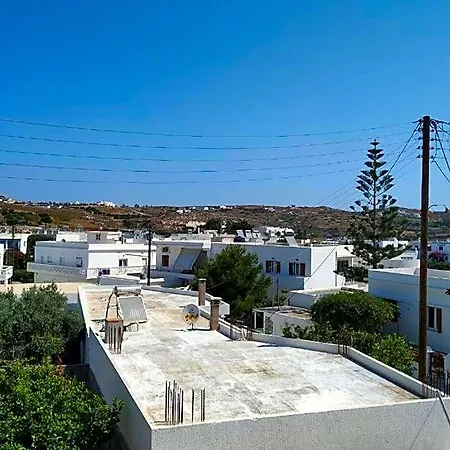 Blue Pollonia